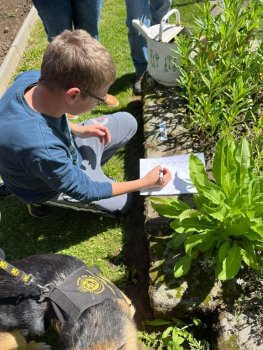 Canisterapia na hodine SJL