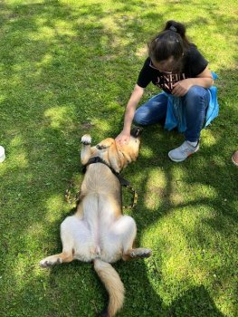 Canisterapia na hodine SJL