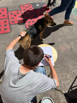 Canisterapia na hodine SJL