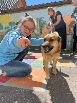 Canisterapia na hodine SJL