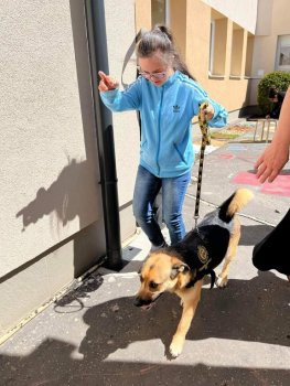 Canisterapia na hodine SJL