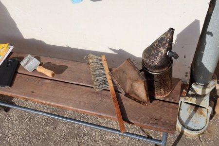 Svetový deň včiel