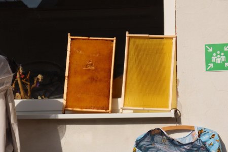 Svetový deň včiel