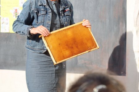 Svetový deň včiel