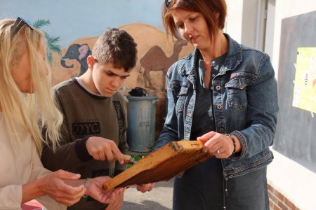 Svetový deň včiel