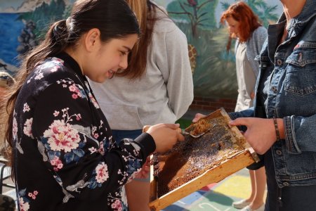 Svetový deň včiel