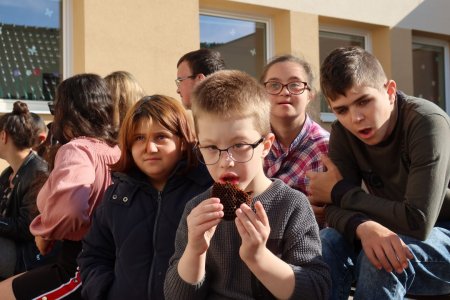 Svetový deň včiel