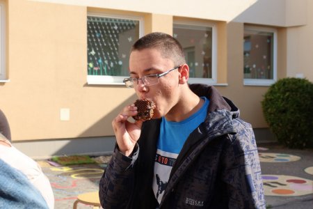 Svetový deň včiel