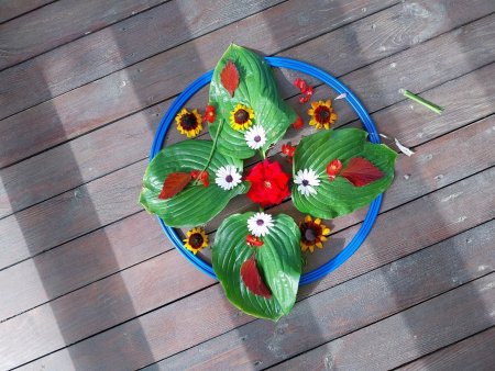 Výtvarná výchova vonku