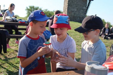 Účelové cvičenie