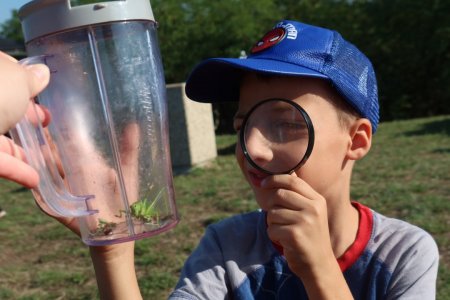 Účelové cvičenie