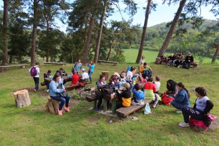 Európsky deň pohybu