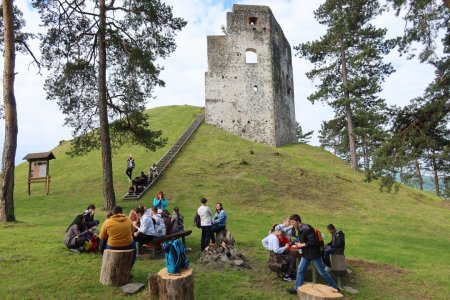 Európsky deň pohybu