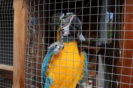 Európsky deň pohybu