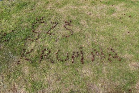 Európsky deň pohybu