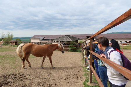 Európsky deň pohybu