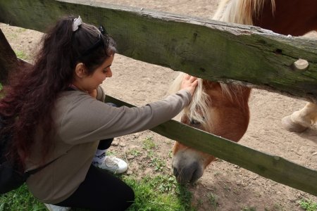 Európsky deň pohybu