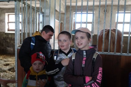 Európsky deň pohybu