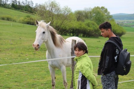 Európsky deň pohybu