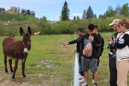 Európsky deň pohybu