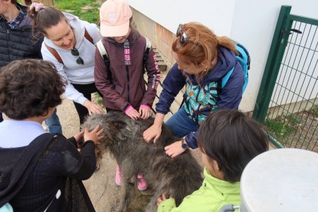 Európsky deň pohybu