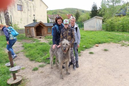 Európsky deň pohybu