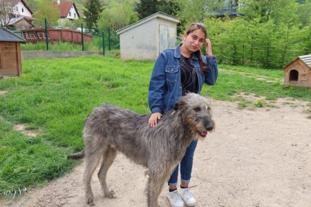 Európsky deň pohybu