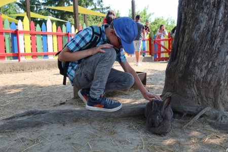 Výlet do ZVEROPARKU