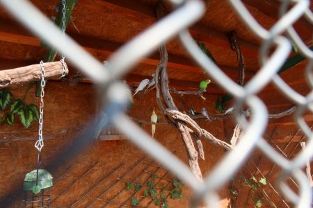 Výlet do ZVEROPARKU