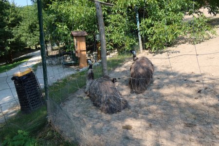 Výlet do ZVEROPARKU