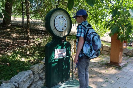 Výlet do ZVEROPARKU