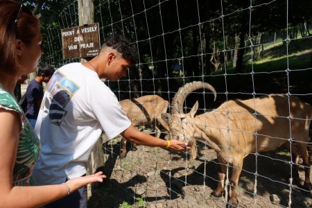 Výlet do ZVEROPARKU