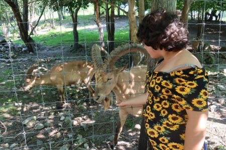 Výlet do ZVEROPARKU