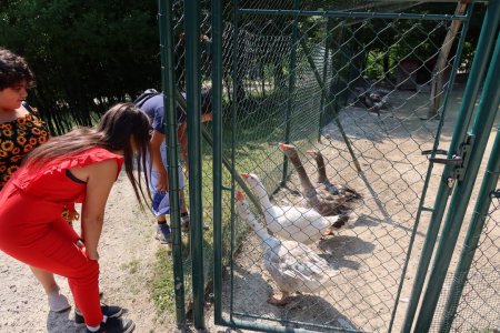 Výlet do ZVEROPARKU