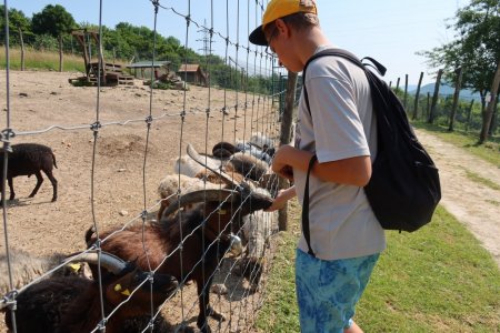 Výlet do ZVEROPARKU