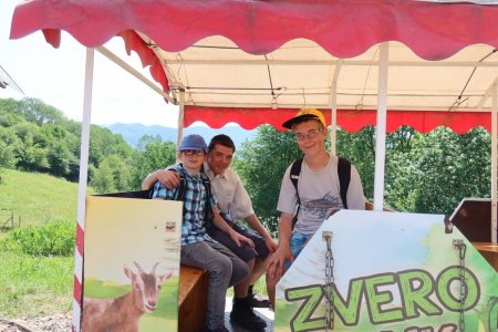 Výlet do ZVEROPARKU