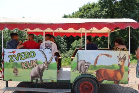 Výlet do ZVEROPARKU