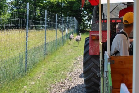 Výlet do ZVEROPARKU