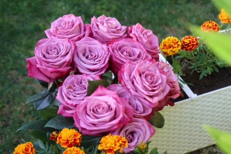 Záver školského roka