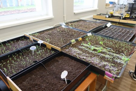 Exkurzia SOŠOaS Krupina