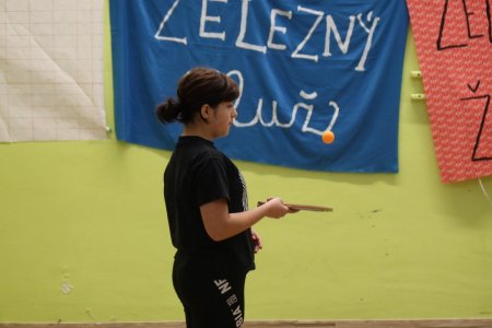 Železný muž a Železná žena