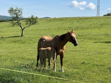 Potulky okolím Krupiny