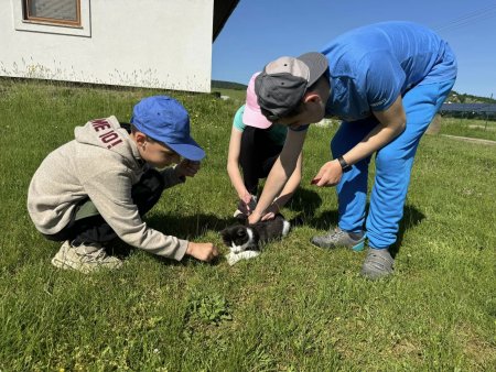 Potulky okolím Krupiny