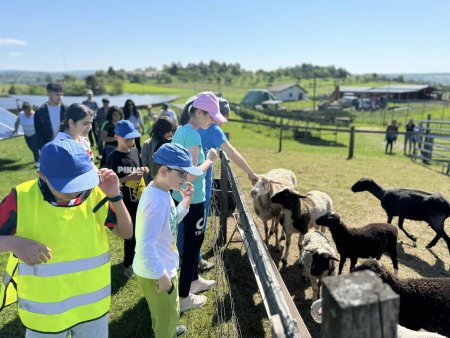Potulky okolím Krupiny