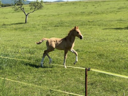 Potulky okolím Krupiny