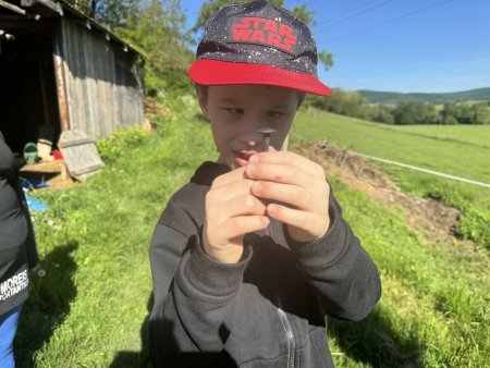 Potulky okolím Krupiny