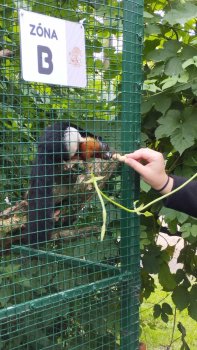 Navštívili sme Panthera park v Turej