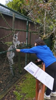 Navštívili sme Panthera park v Turej