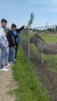Navštívili sme Panthera park v Turej
