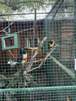 Navštívili sme Panthera park v Turej